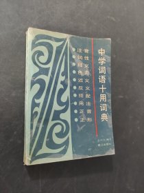 中学词语十用词典