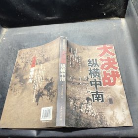 纵横中南:长篇战争纪实文学