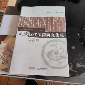 武威汉代医简研究集成