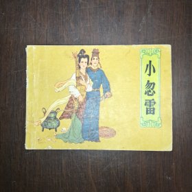 小忽雷