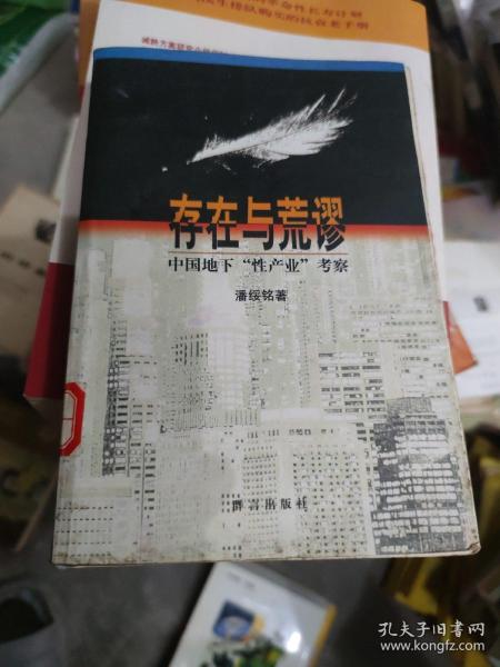 存在与荒谬：中国地下“性产业”考察