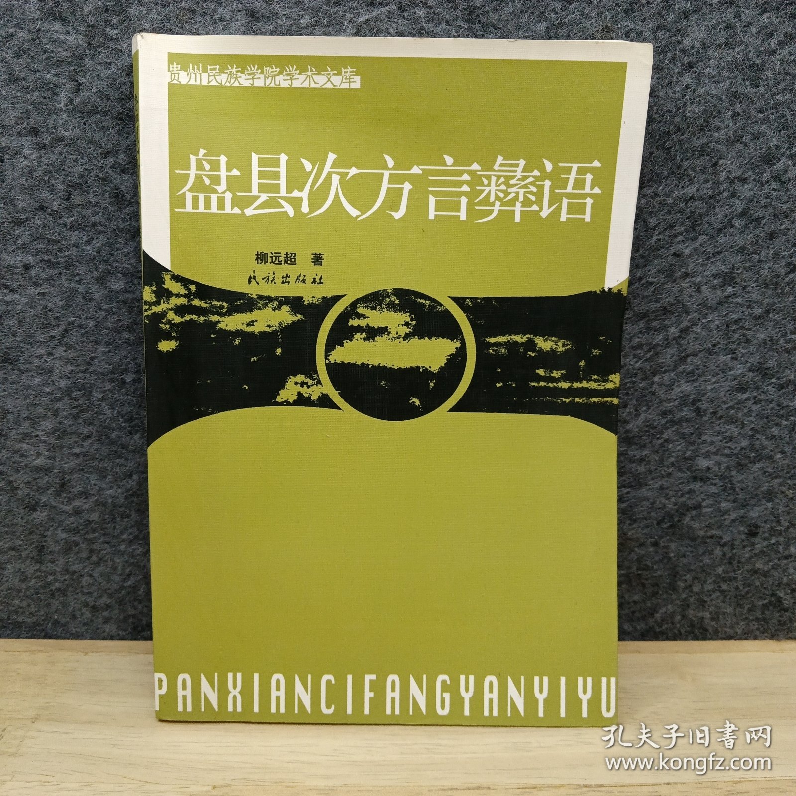 盘县次方言彝语(贵州民族学院学术文库)