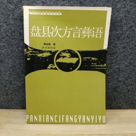 盘县次方言彝语(贵州民族学院学术文库)