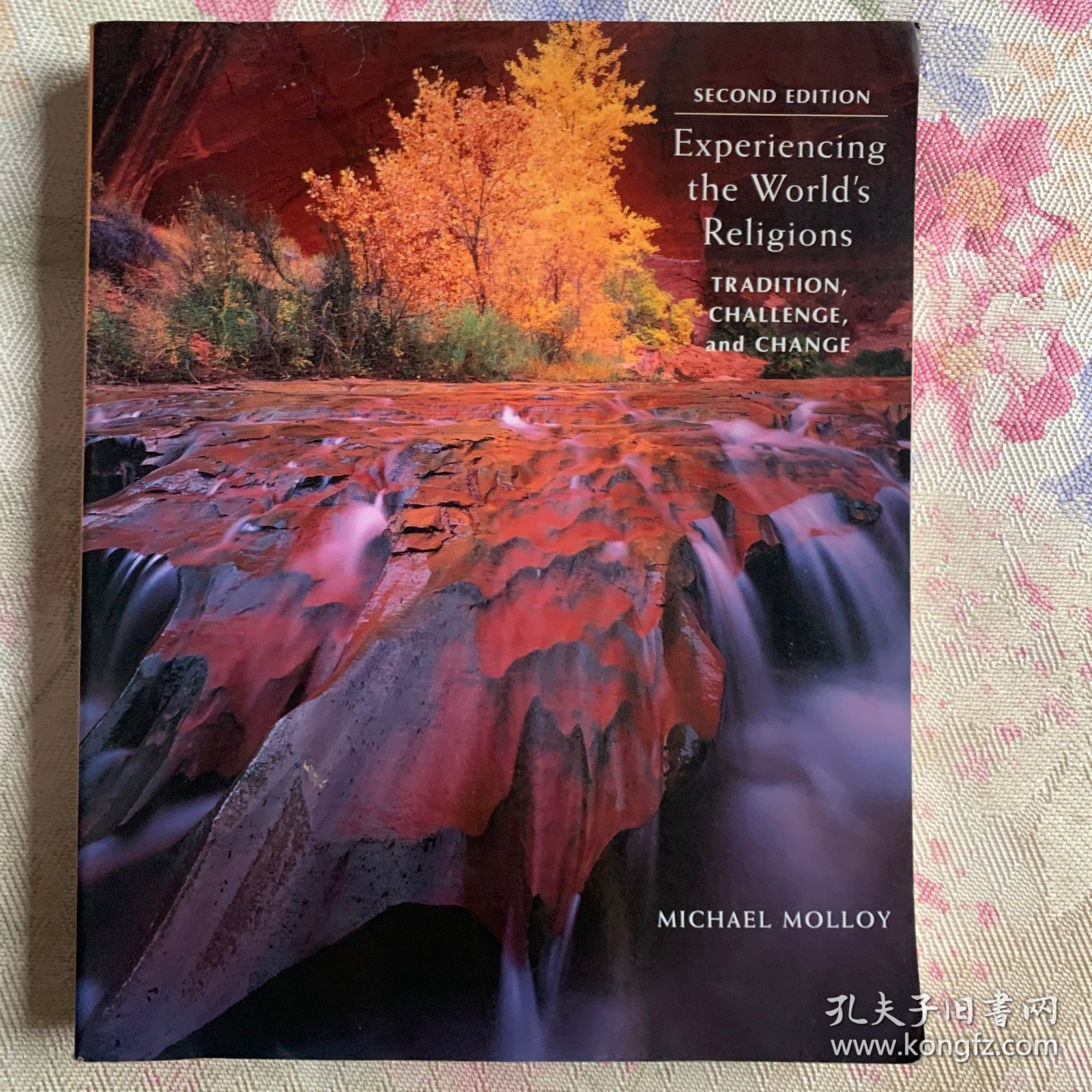 体验宗教：传统、挑战与嬗变 experiencing the world's religions