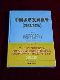 中国城市发展报告