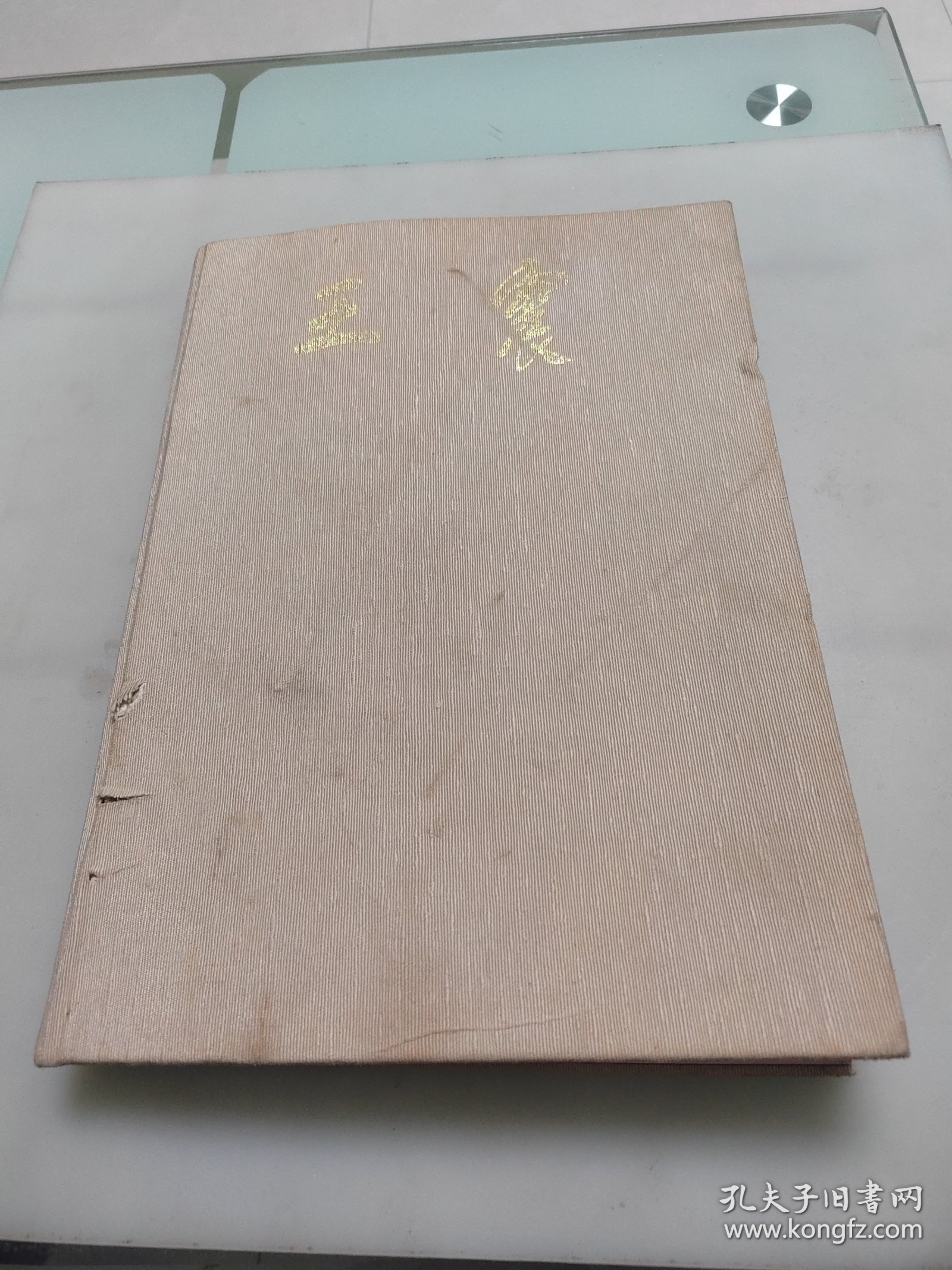 王震（大8开画册）