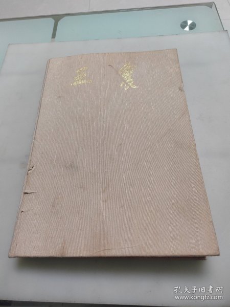 王震（大8开画册）