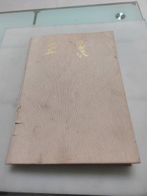 王震(大8开画册)