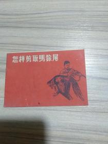 怎样剪取马猔尾1959年