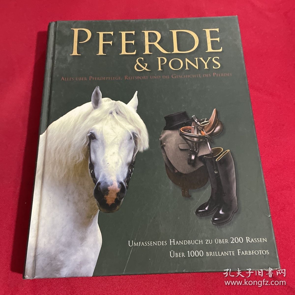 pferde&ponys