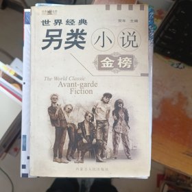 另类 小说金榜 下