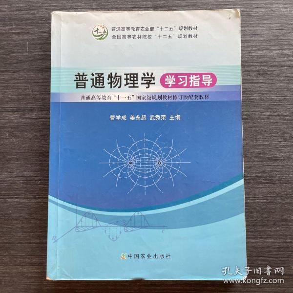 普通物理学学习指导/普通高等教育“十一五”国家级规划教材修订版配套教材