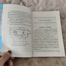 中国的金鱼