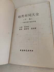 炮类布局大全.下集.中炮对顺手炮和其他
