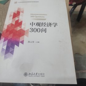中观经济学300问 21世纪高等院校财经管理系列实用规划教材 陈云贤著