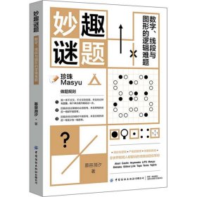 妙趣谜题 数字、线段与图形的逻辑难题【正版新书】