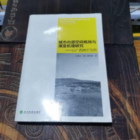 城市内部空间格局与演变机理研究：以广西南宁为例