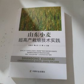 山东小麦超高产栽培技术实践