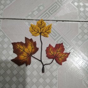 树叶标本红黄蓝