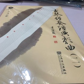 古琴弹奏经典歌曲（2）