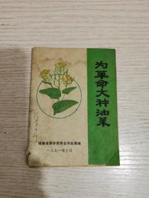 为革命大种油菜（带毛语录）