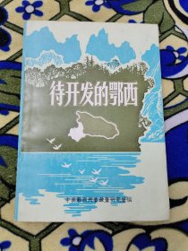 《待开发的鄂西(恩施州)》