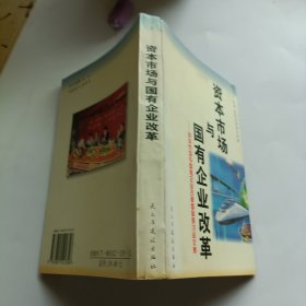 资本市场与国有企业改革:资本市场与国有企业改革国际研讨会文集