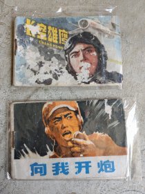 长空雄鹰&向我开炮（2本合售）