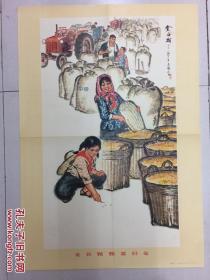 1973年对开宣传画《 金谷颗颗要归仓 》
