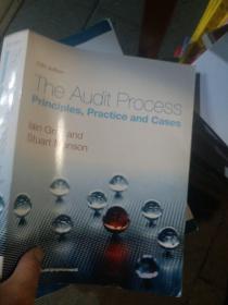 The Audit Process