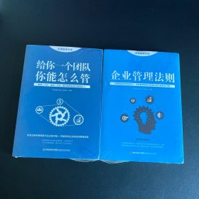 思维格局文库：企业管理法则 给你一个团队你能怎么管 2本【全新未拆封】