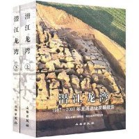 潜江龙湾：1987~2001年龙湾遗址发掘报告（全两册）