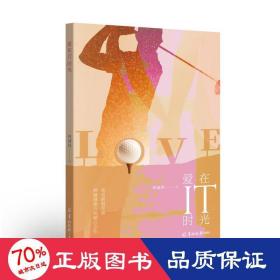 愛在it時(shí)光 中國現(xiàn)當(dāng)代文學(xué) 林健鋒