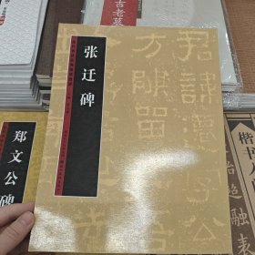 历代书法名迹技法选讲--张迁碑