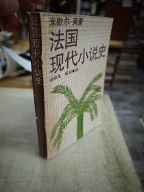 法国现代小说史