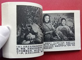 洪湖赤卫队（老电影~战斗题材）77年上美版