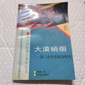 大漠硝烟:第三次中东战争纪实