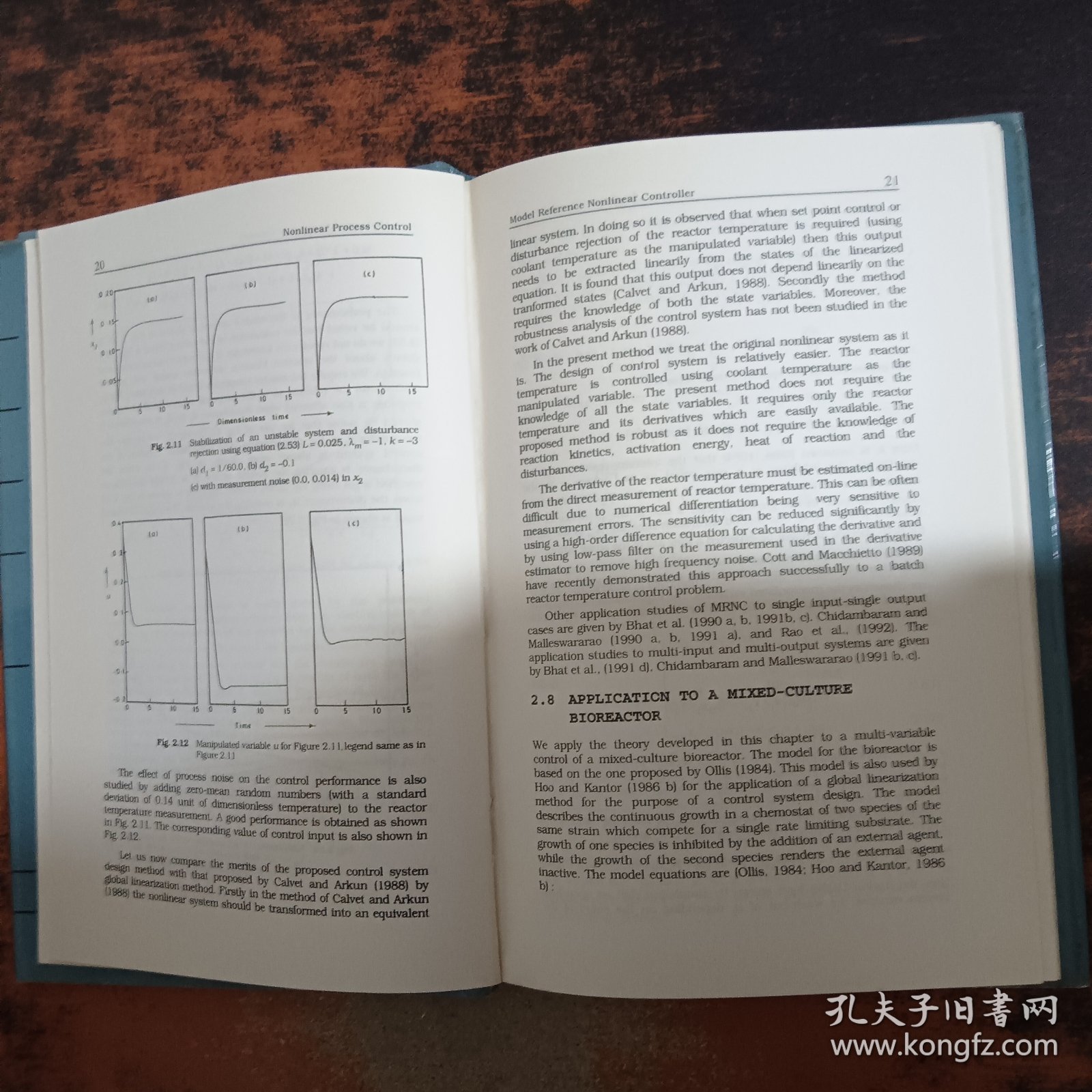 Nonlinear Process Control