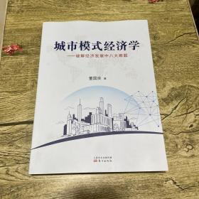 城市模式经济学-破解经济发展中八大难题