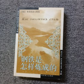 钢铁是怎样炼成的