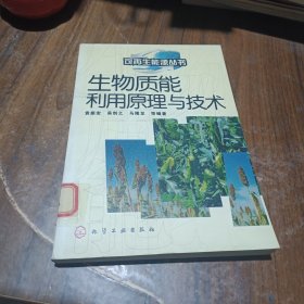 生物质能利用原理与技术