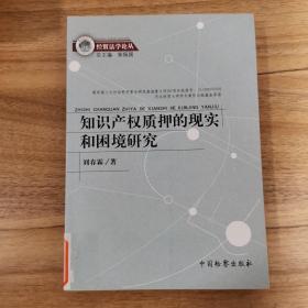 知识产权质押的现实和困境研究