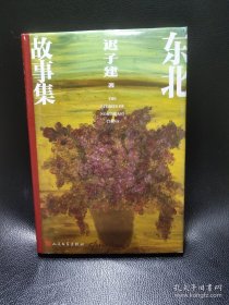 东北故事集（茅盾文学奖作家迟子建全新作品）