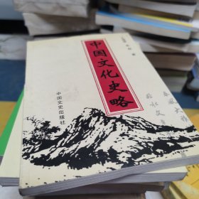 中国文化史略