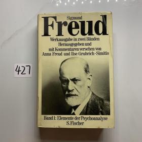 elemente der psychoanalyse