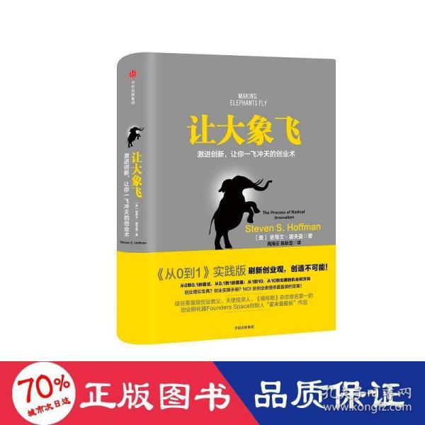 让大象飞:激进创新，让你一飞冲天的创业术