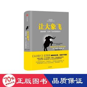 让大象飞:激进创新，让你一飞冲天的创业术