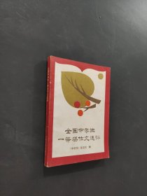 全国中学生一等奖作文选评
