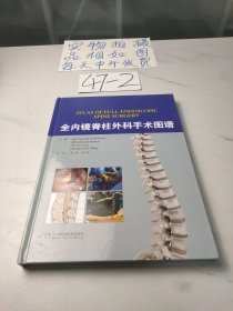 全内镜脊柱外科手术图谱