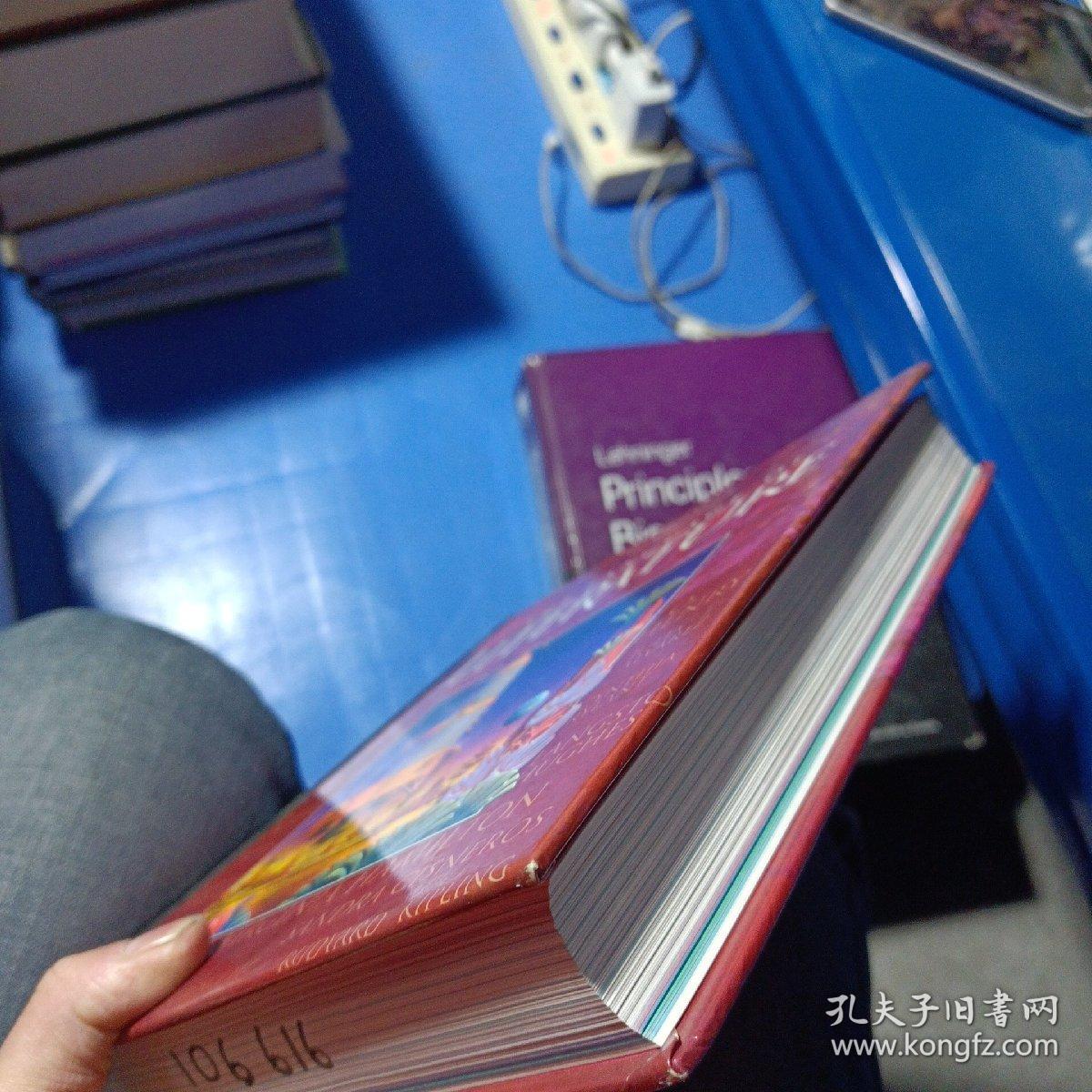 THE LANGUAGE OF LITERATURE——a2